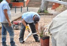 Guanajuato capital arranca operativo integral para recuperar espacios públicos invadidos