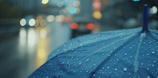 Superan registros promedio de lluvia en Guanajuato; pronostica Observatorio Meteorológico UG más precipitaciones