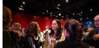 VOCACIÓN NACIONAL Y FORTALECIMIENTO INSTITUCIONAL: CUERPOSARTÍSTICOS Y COPRODUCCIÓN CERVANTINO