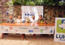 Guanajuato Capital será sede del 8.º Rally 101 Sitios y Monumentos: Edición Perruna 2026